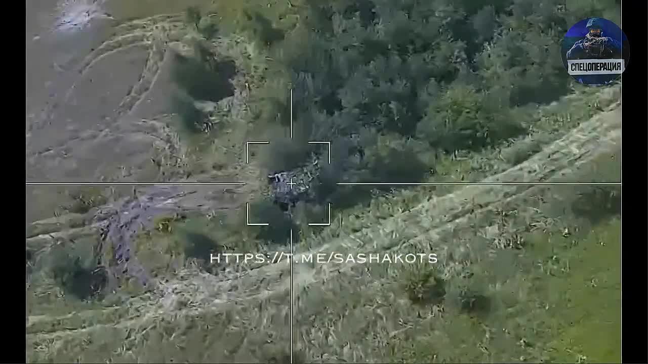 11   АВГУСТА  2023  ГОДА