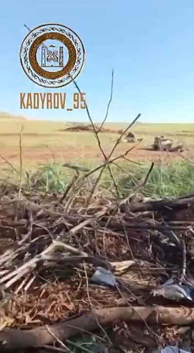 8  СЕНТЯБРЯ  2022   ГОДА
