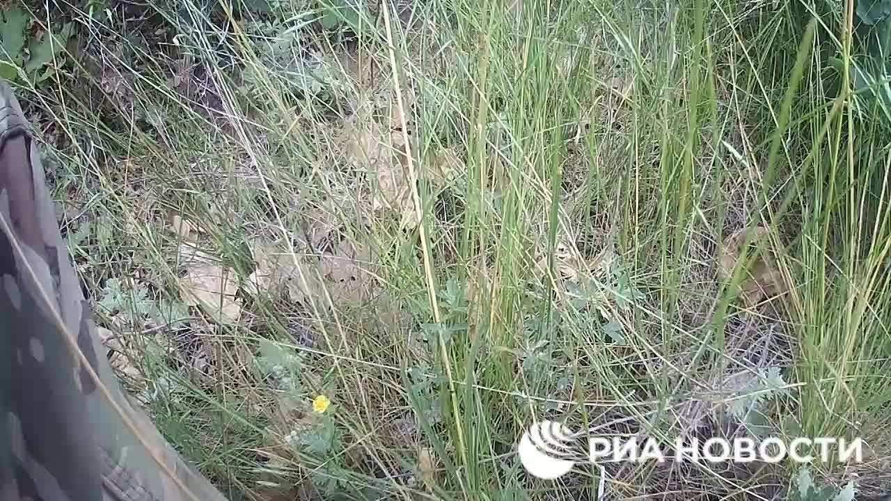 7  ИЮНЯ 2022 ГОД УКРАИНА