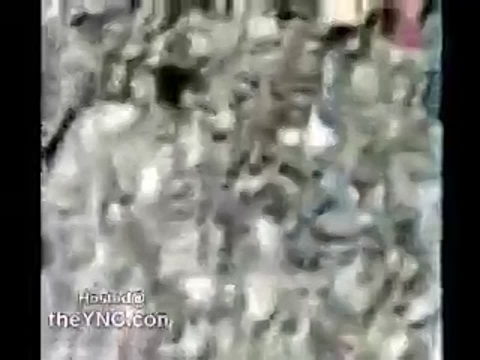 Жесть