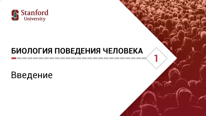 Роберт Сапольски