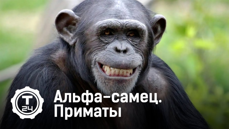 Лидерство