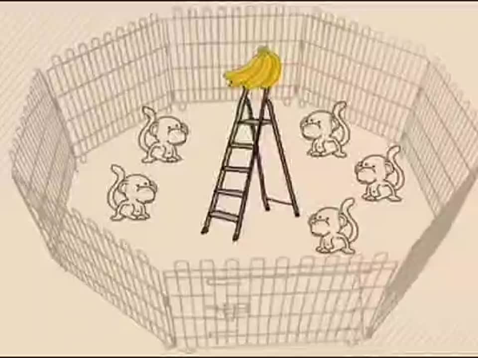 Психология, сознание, психотроника