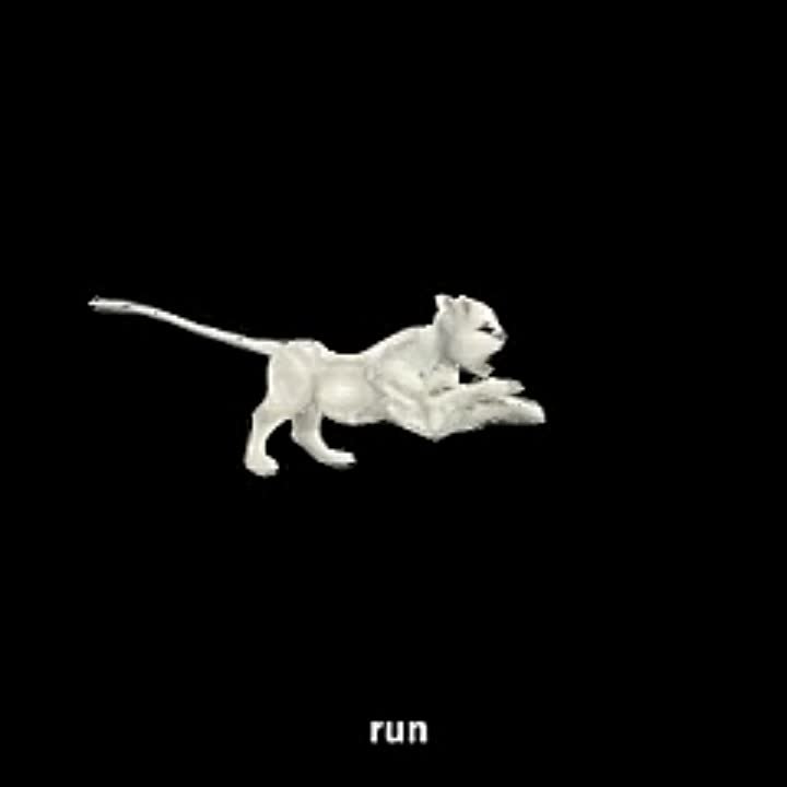 Видео от администрации