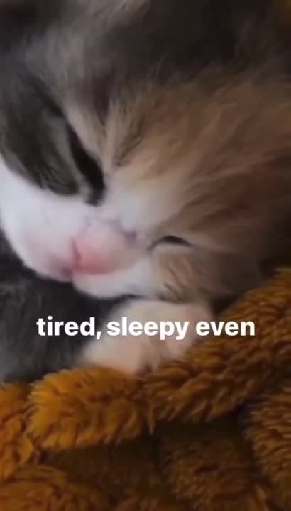 mem