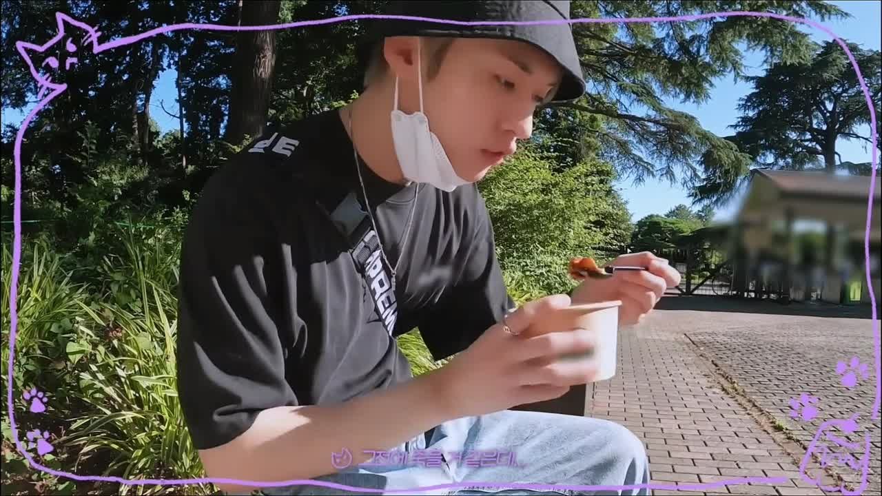 vlogss
