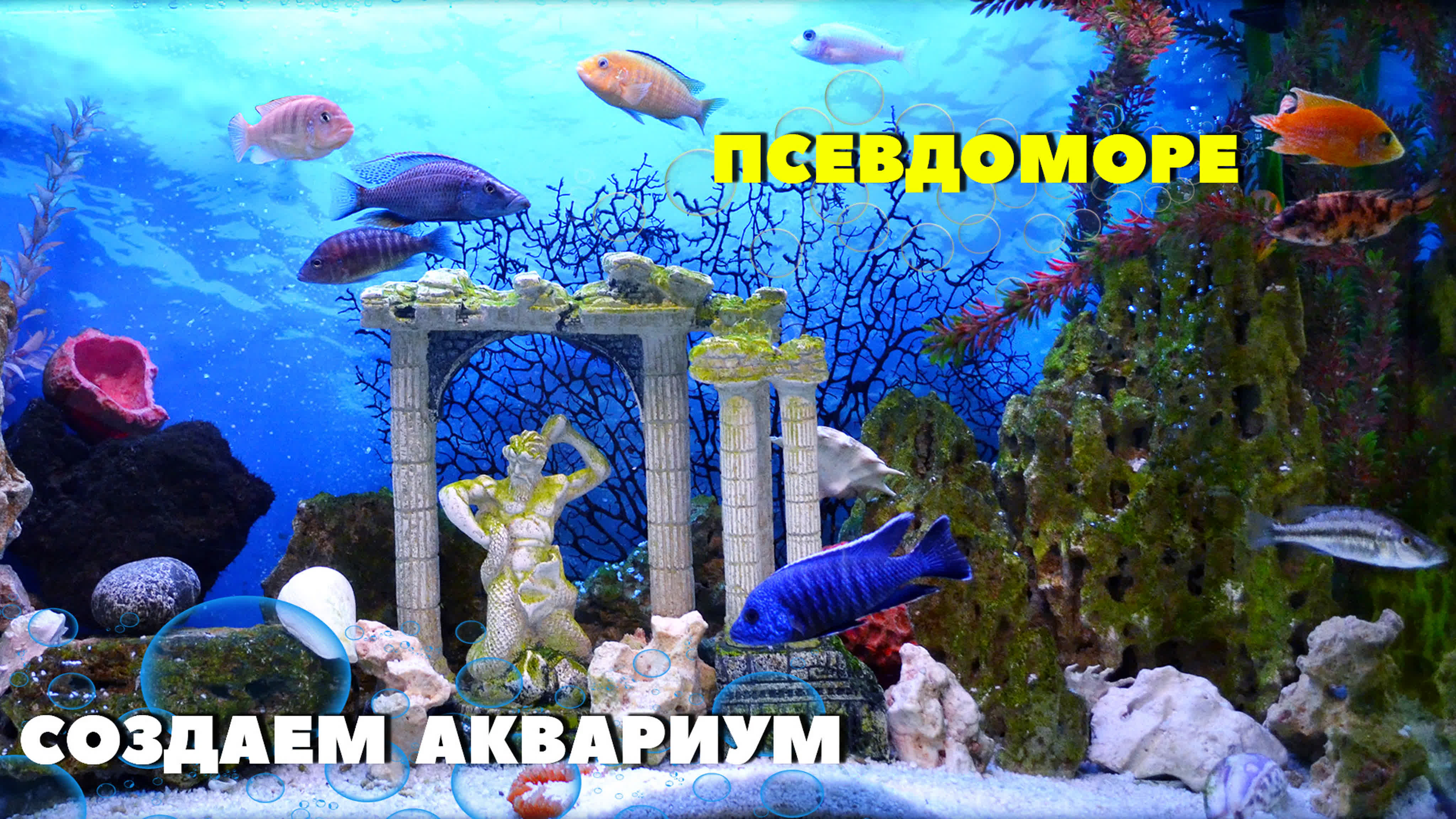 Наши работы - Портфолио Аква Блюз