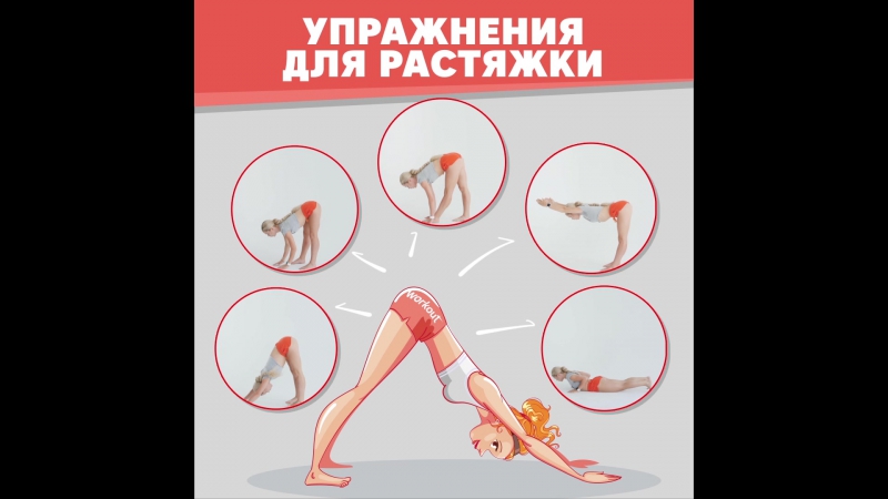 Шпагат / Растяжка