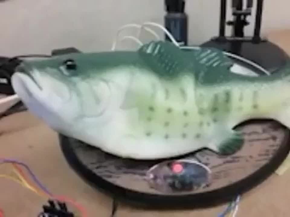 грибной сбор 1