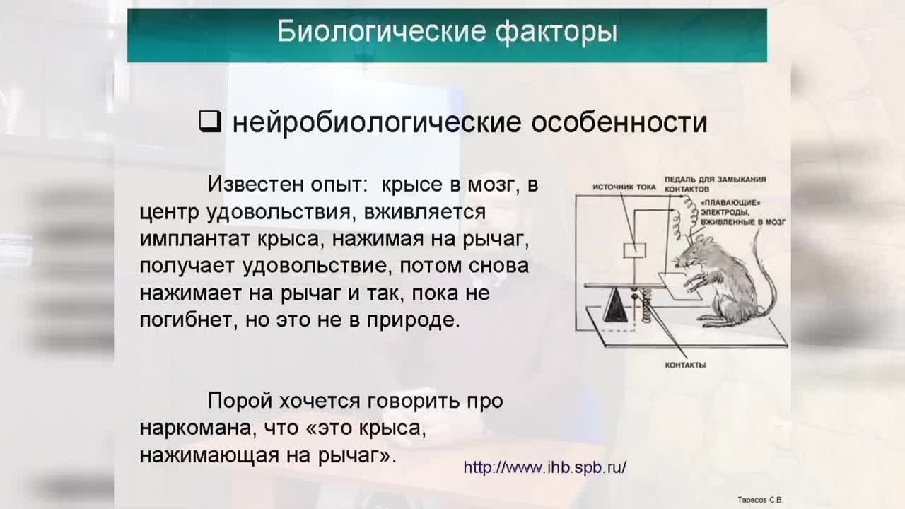 РЦ Вега
