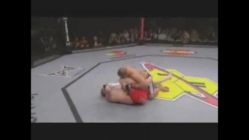 MMA бой