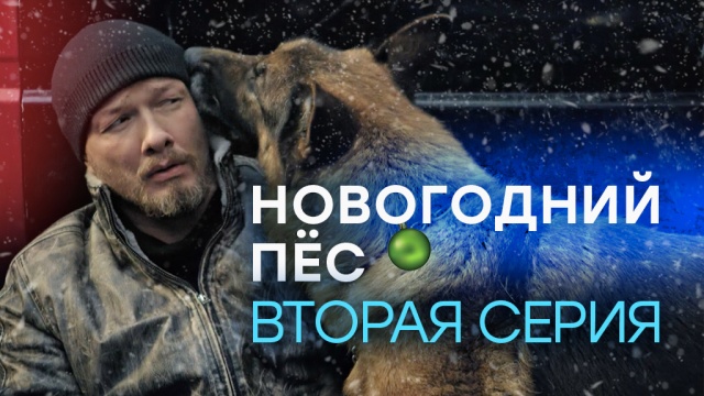 Новогодний  Пес