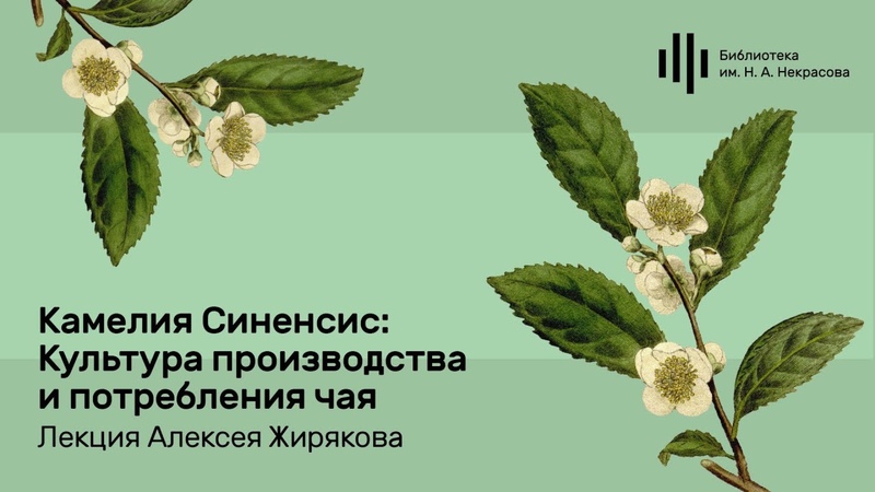 Чай