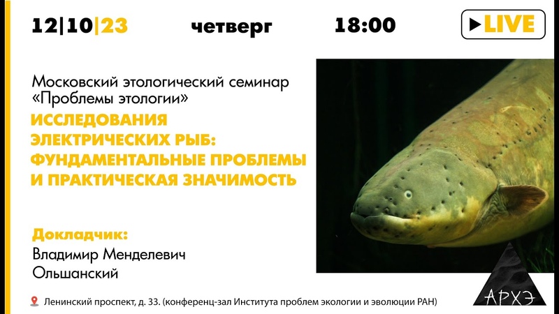 Фауна