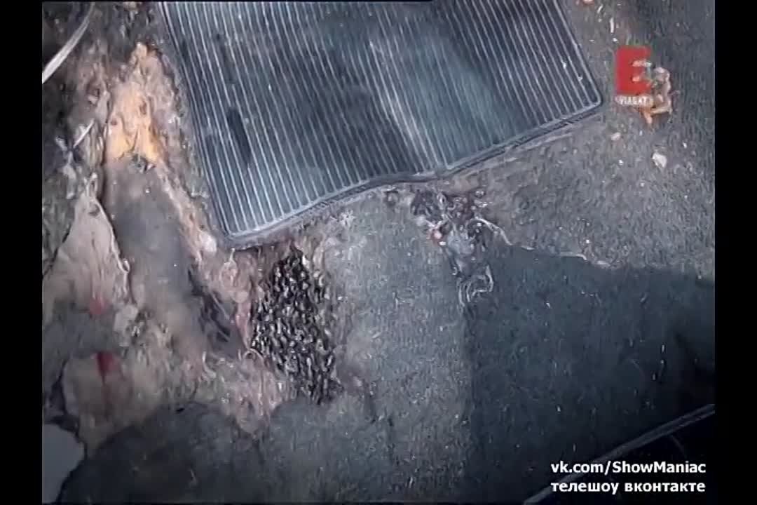 Классика не стареет