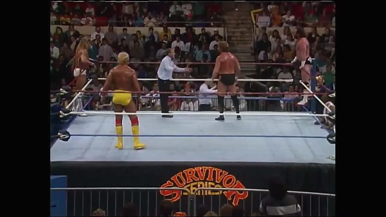 Матчи WWF на PPV (1990)