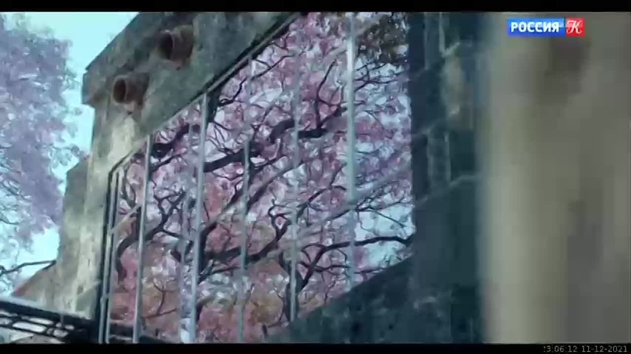 2019 год