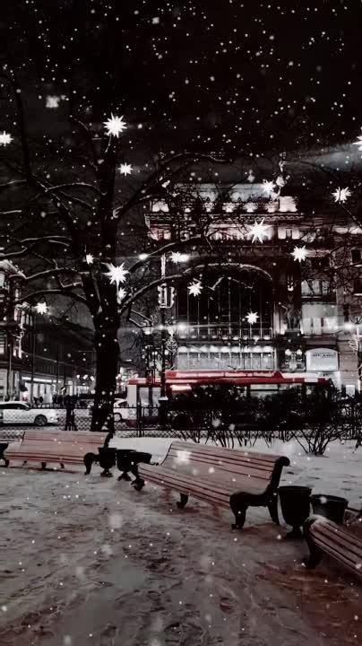 Мой Петербург