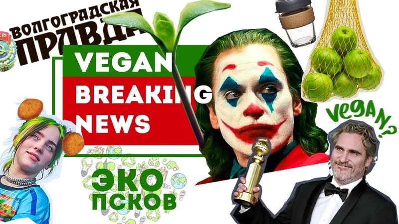 Мероприятия и обзоры