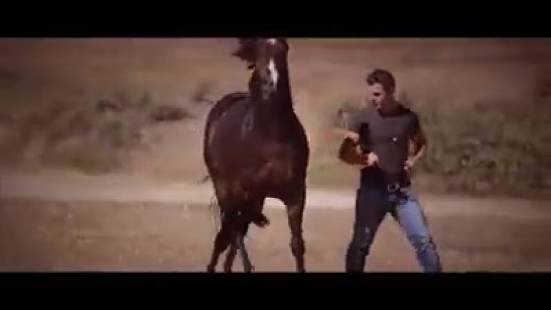 С лошадью всегда есть чем заняться.