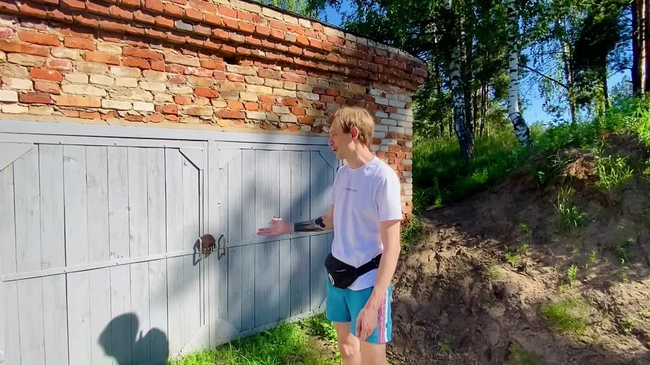 Видео