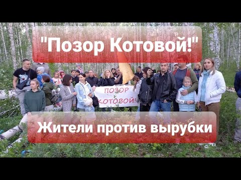 Роман Никитин