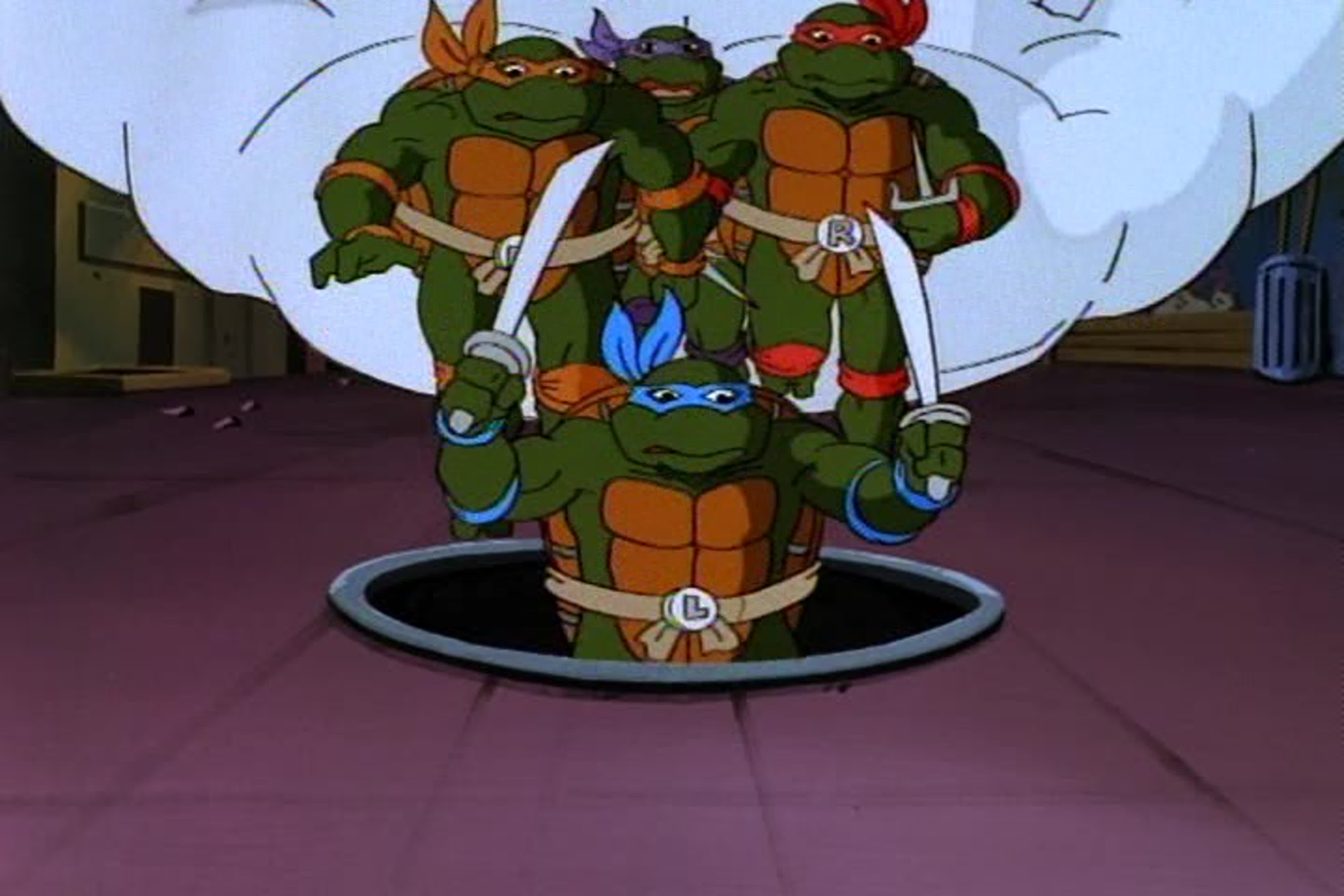 Turtles 1987