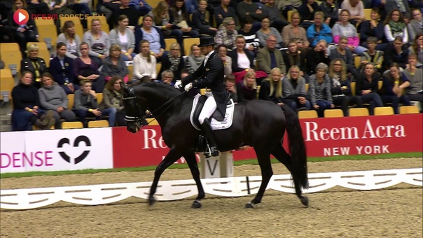 Odense Horse Show 2015