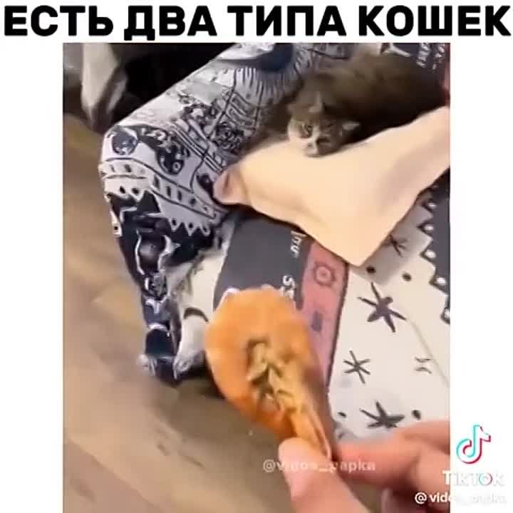 КС