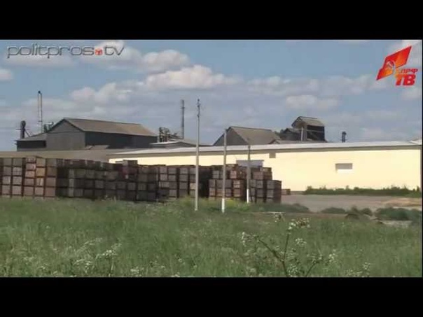 Политика