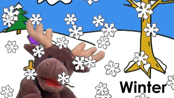 Marty MOOSe