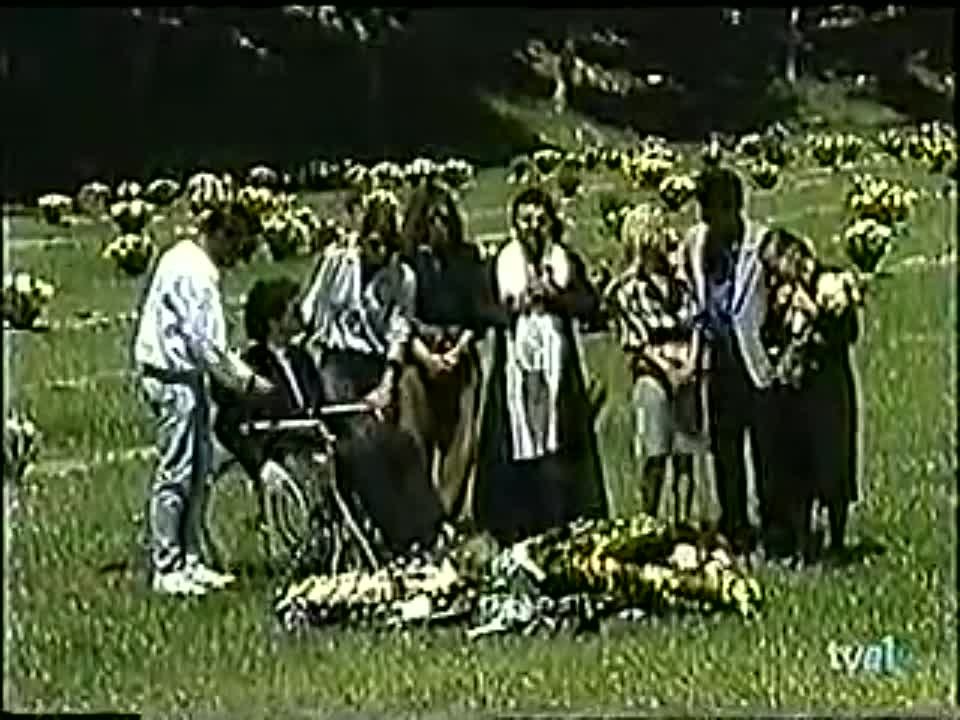 Abigail 1988