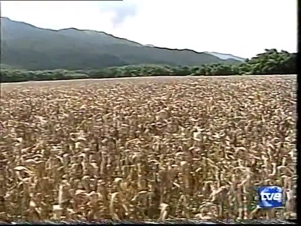 Destino de mujer 1997