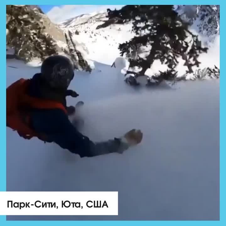 Шедевры от природы!