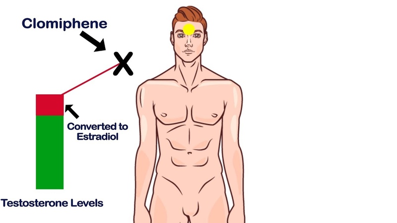 What Is The Biohacking?
