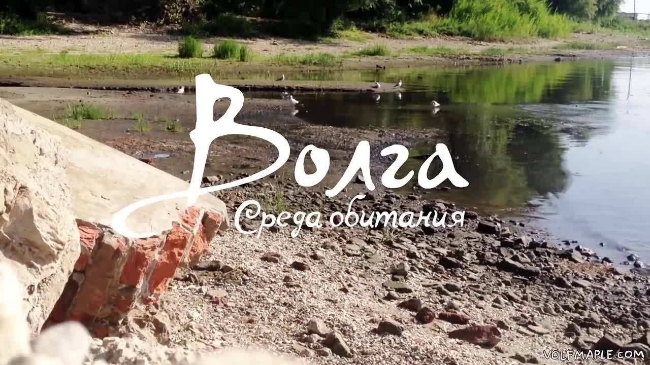 ЭКО ЛАЙФ ХАКИ