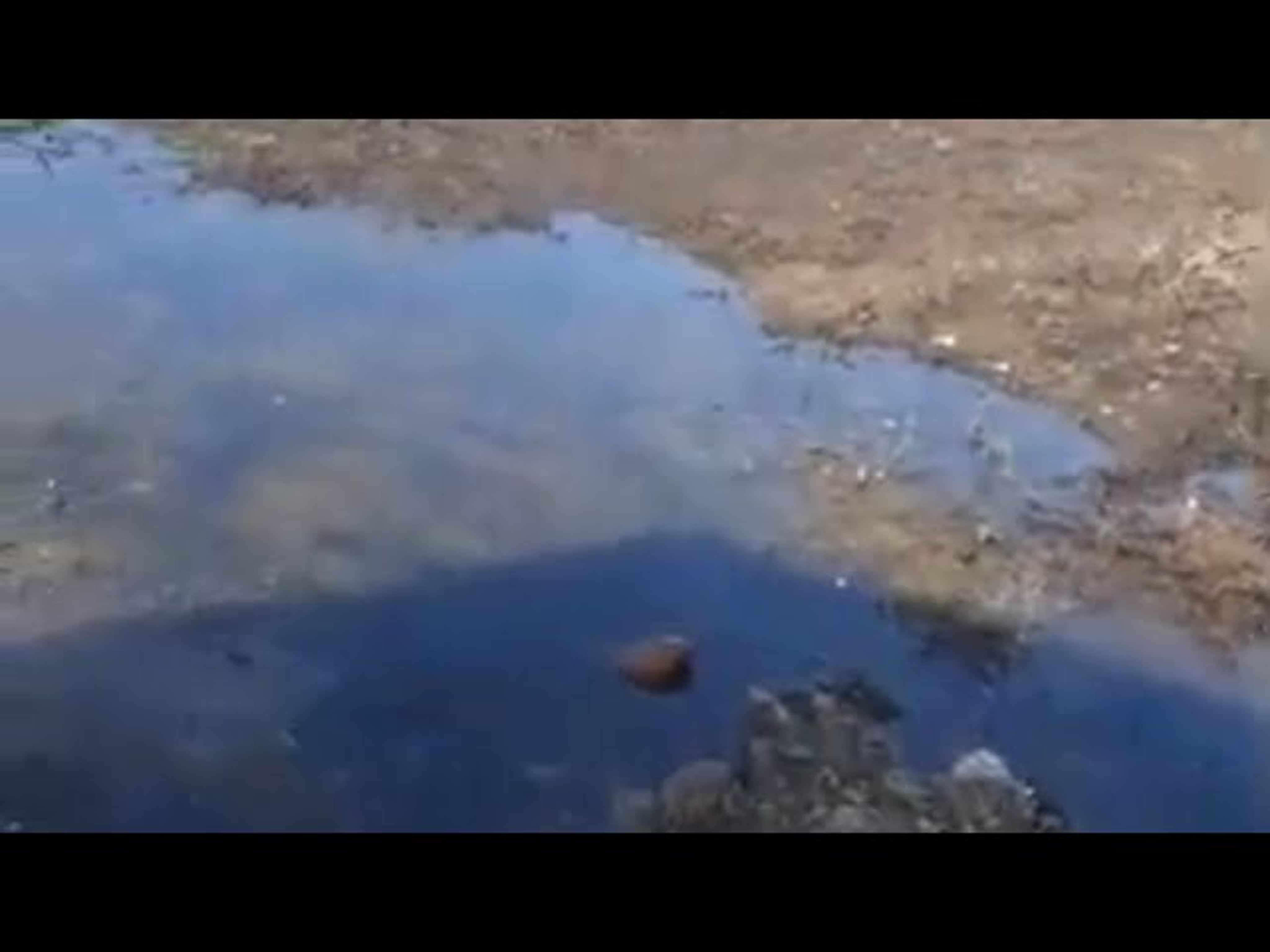 КАК Я УШАТАЛ СВОЮ ДОРОГУ ЗА 1 ДЕНЬ ???