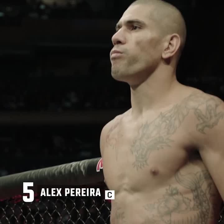 UFC 295