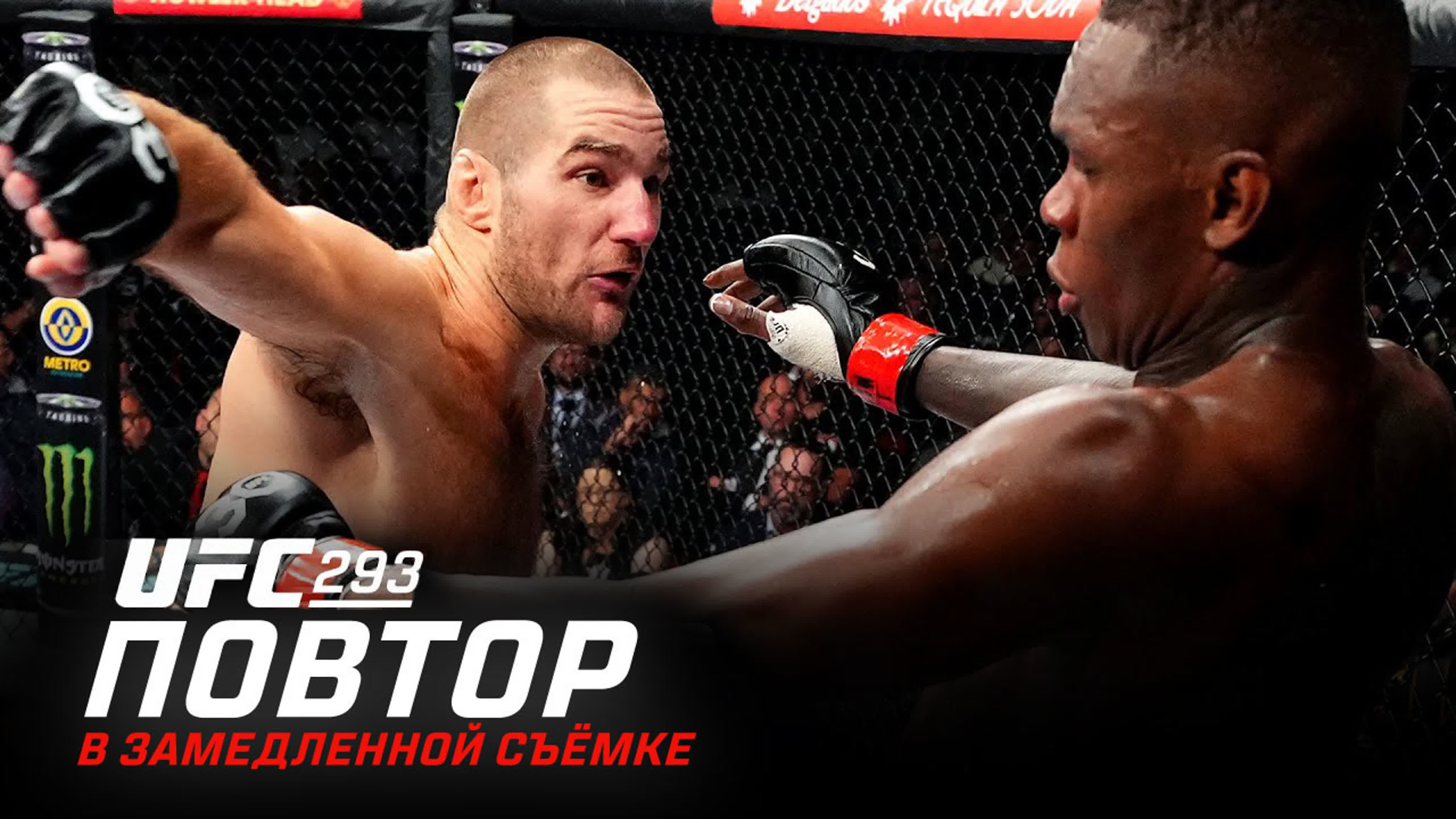 UFC 293