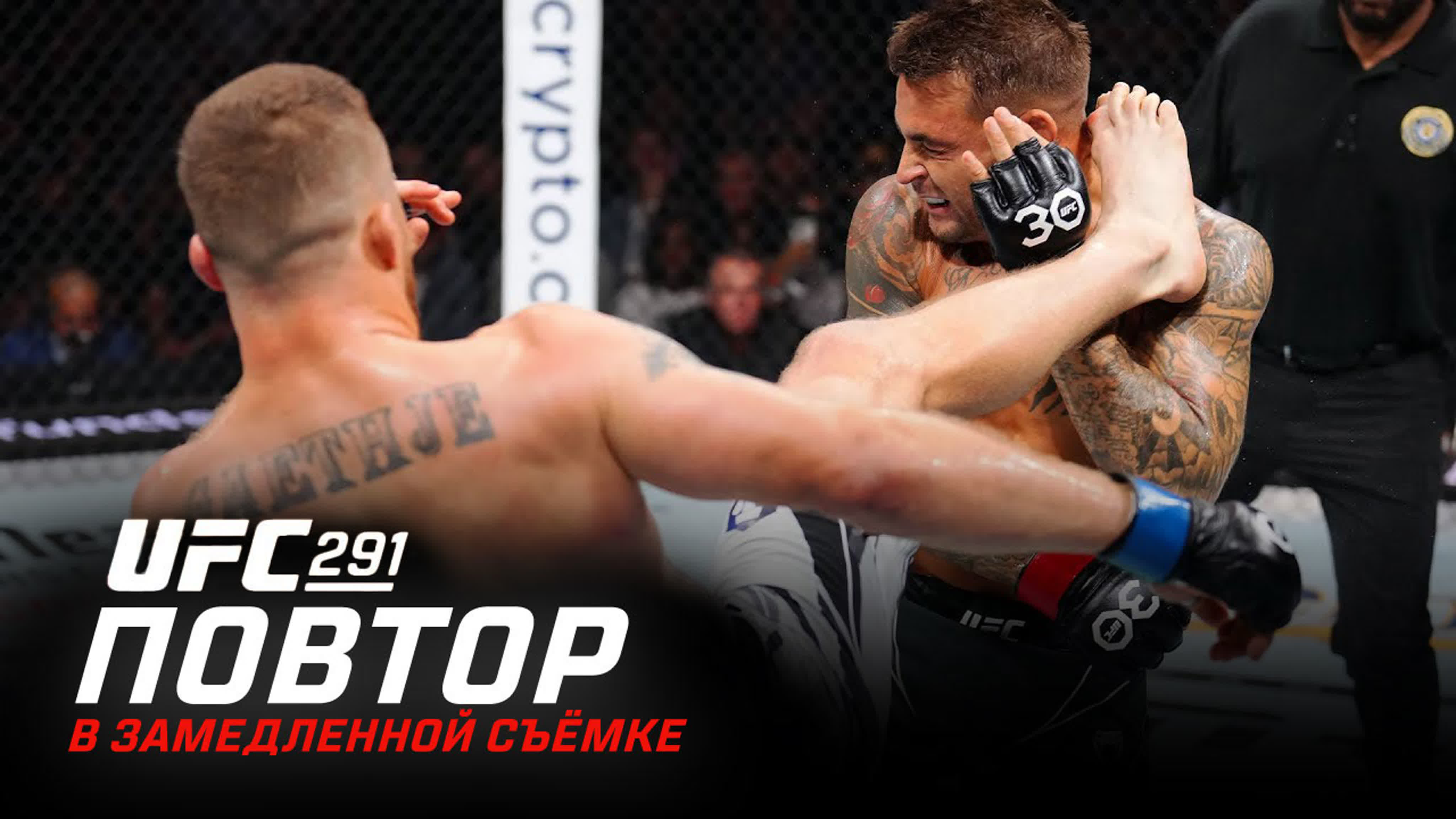 UFC 291