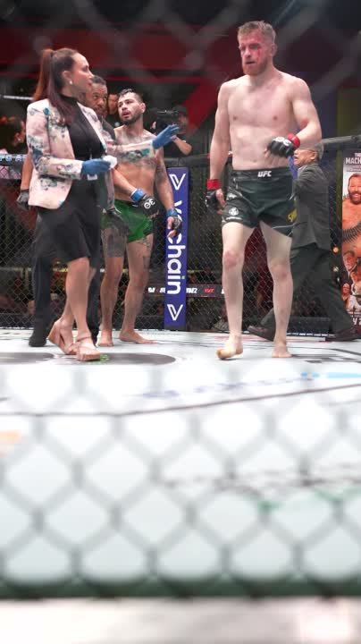 UFC Вегас 73