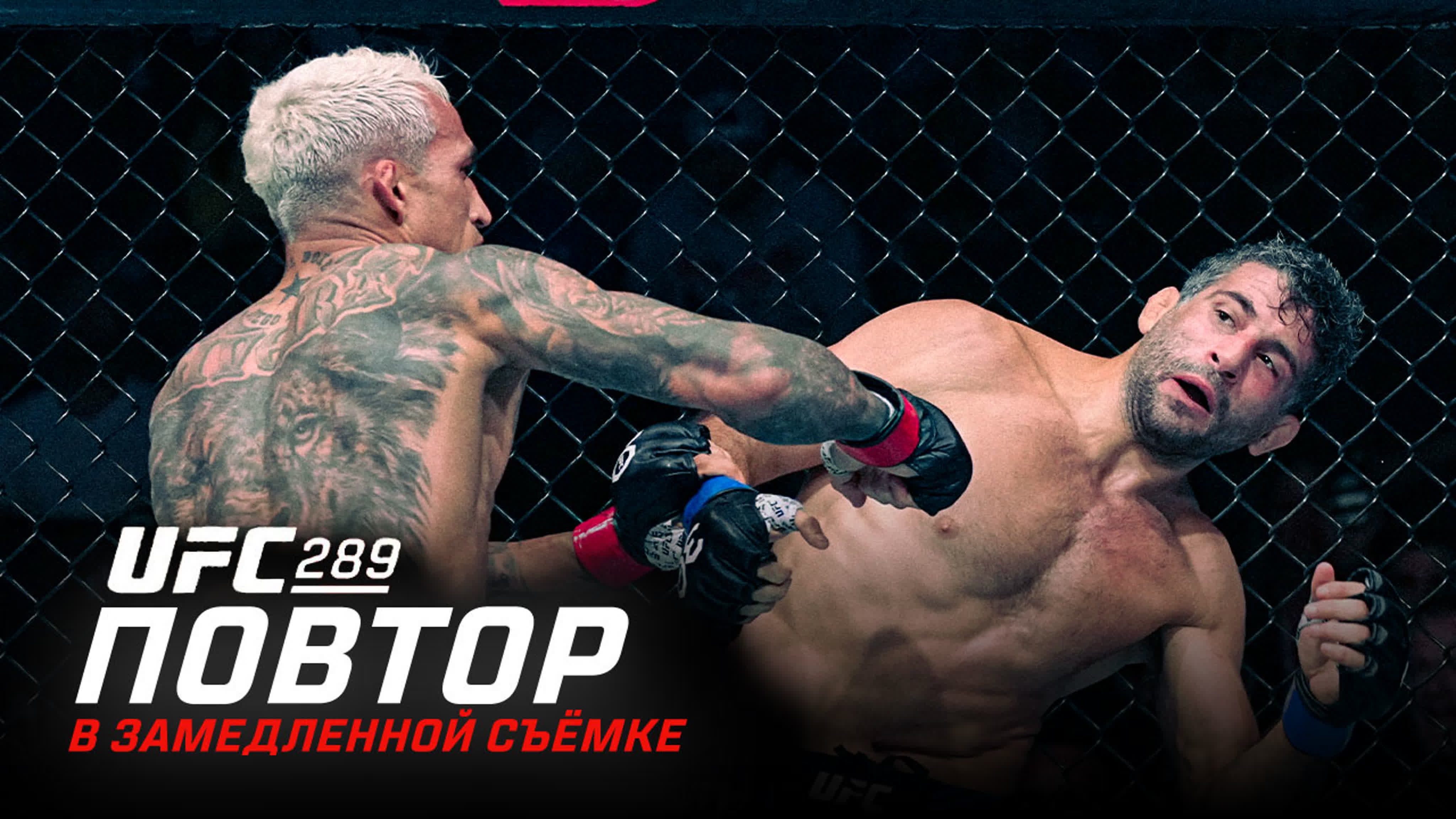 UFC 289