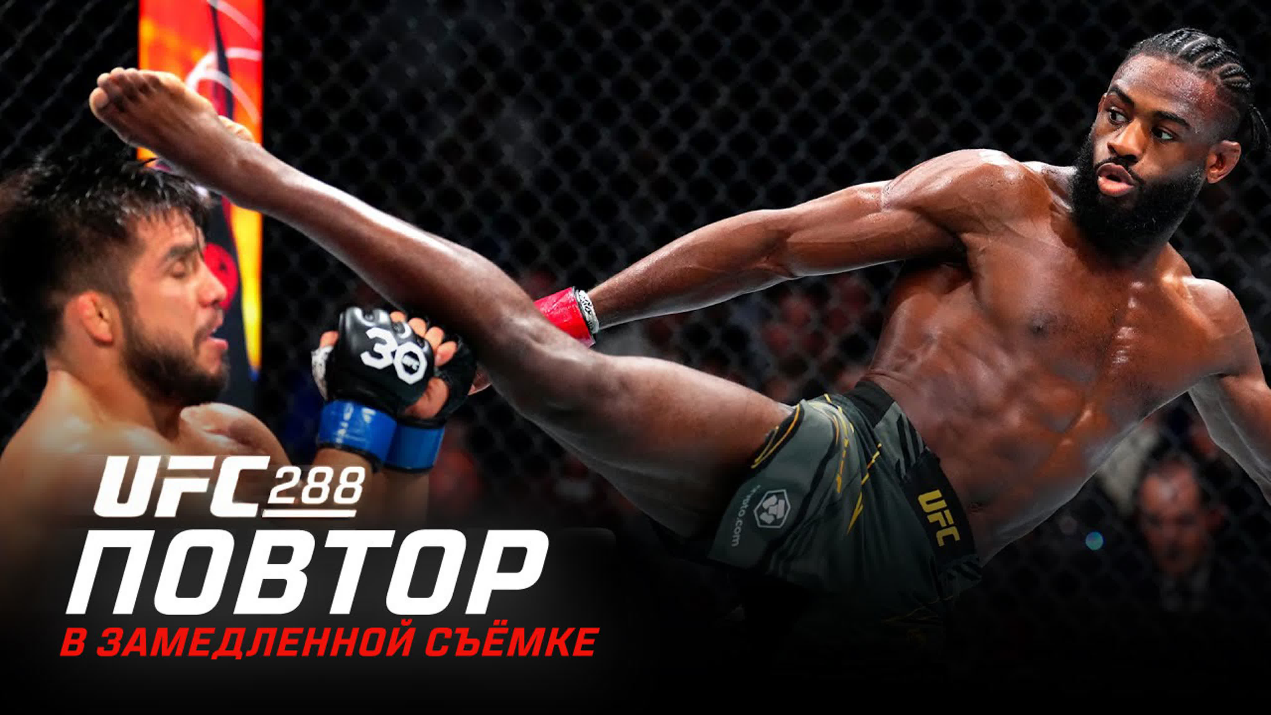 UFC 288