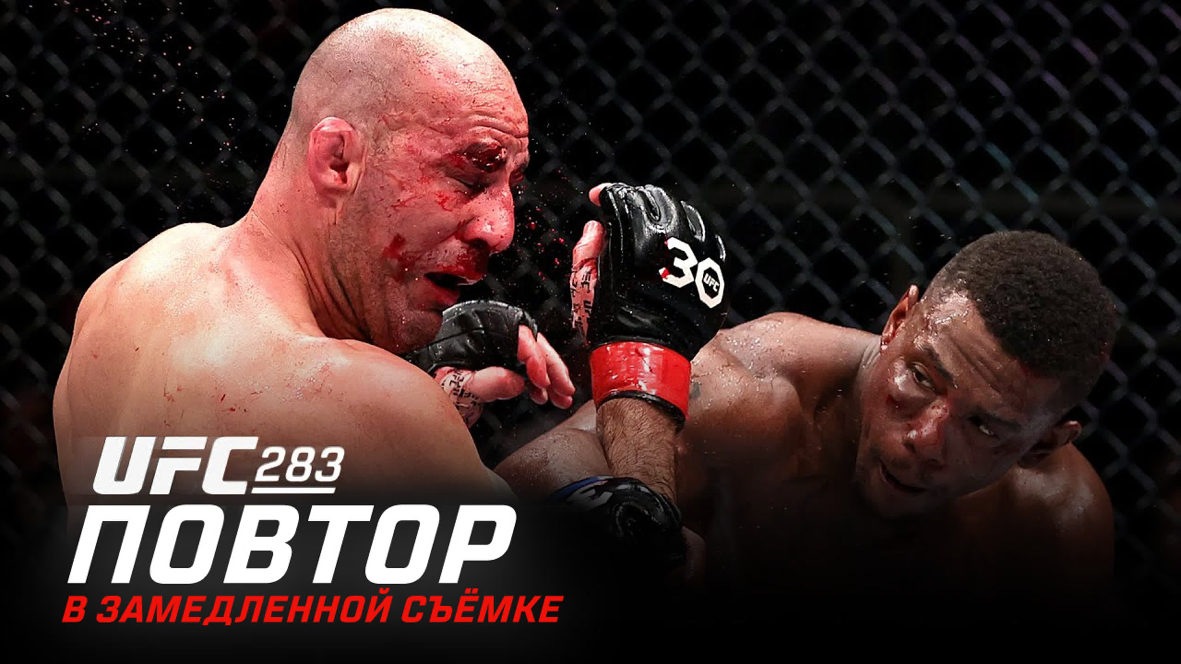 UFC 283