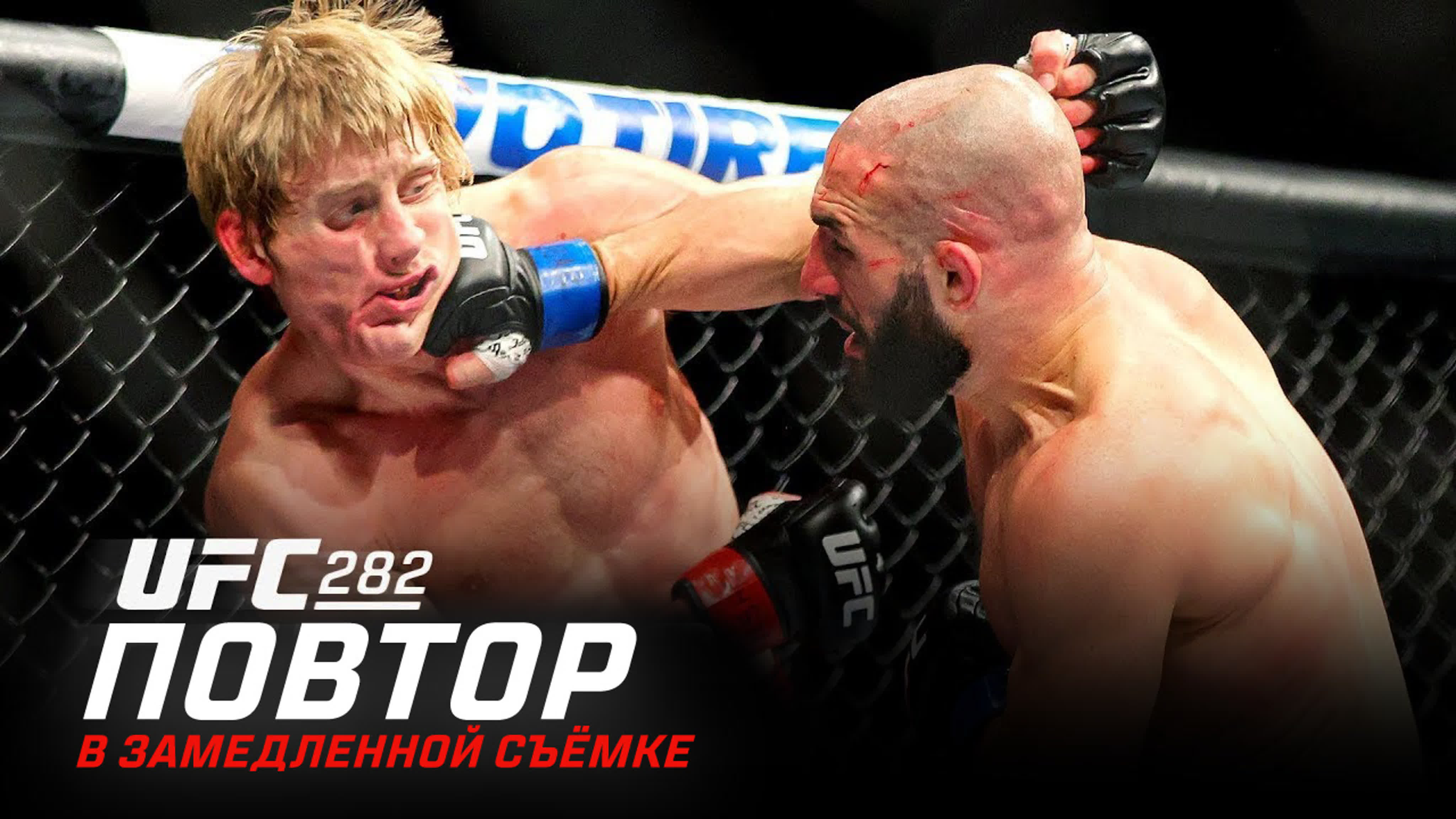 UFC 282