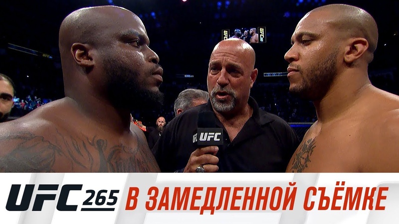 UFC 265