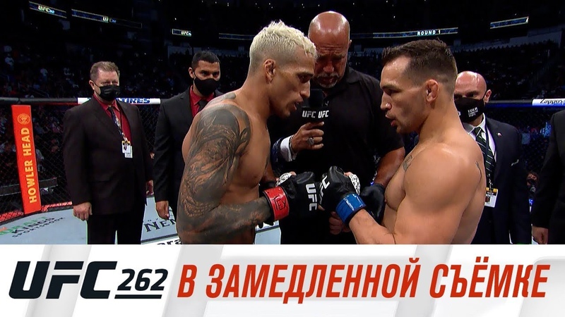 UFC 262