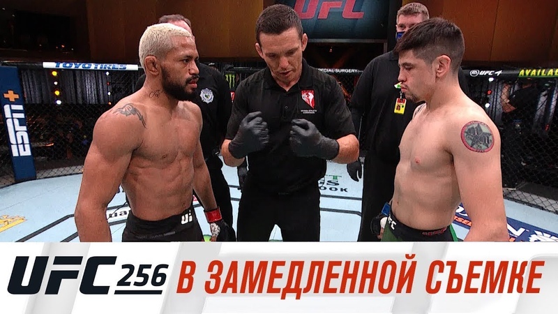 UFC 256: Фигередо vs Морено