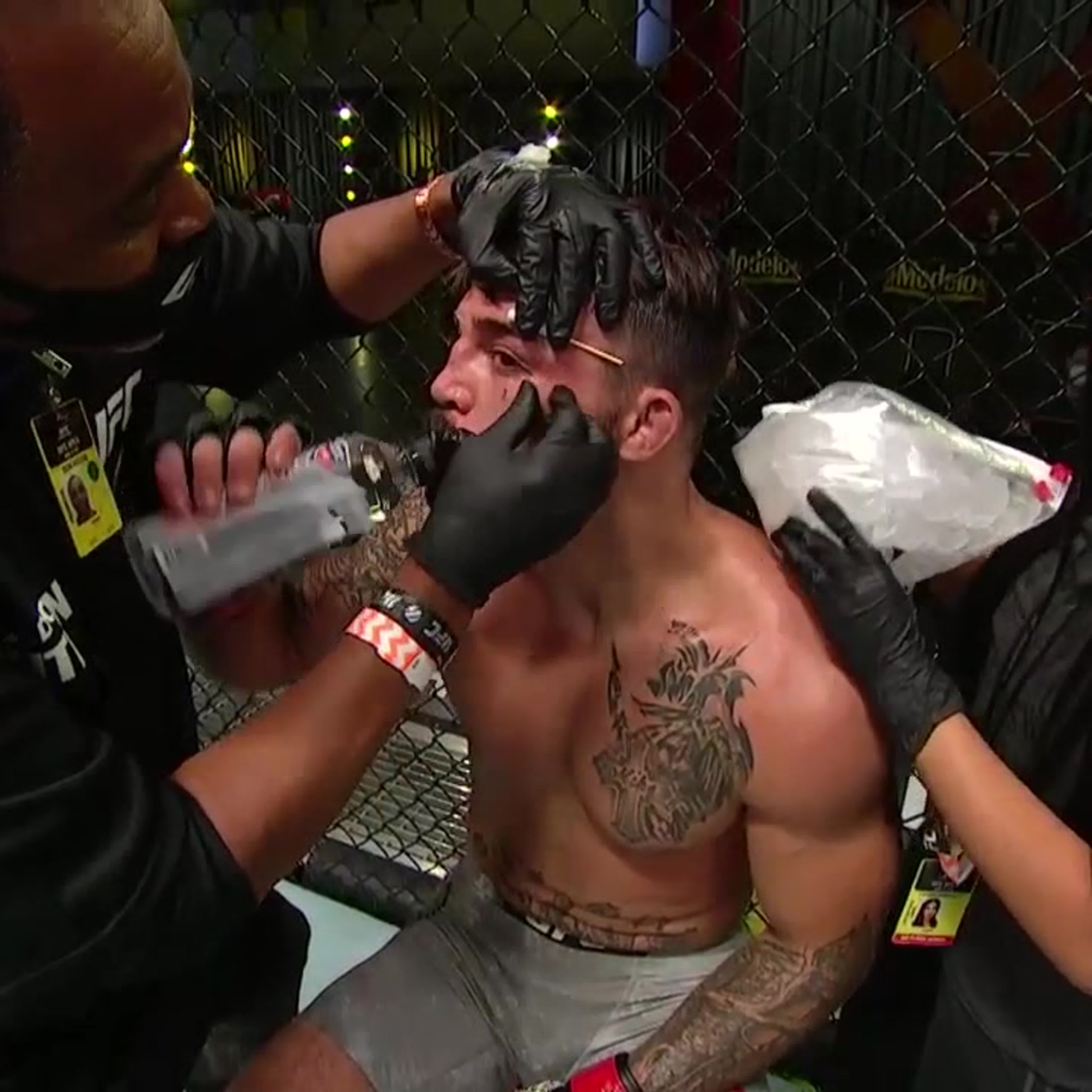 UFC Вегас 4: Порье vs Хукер
