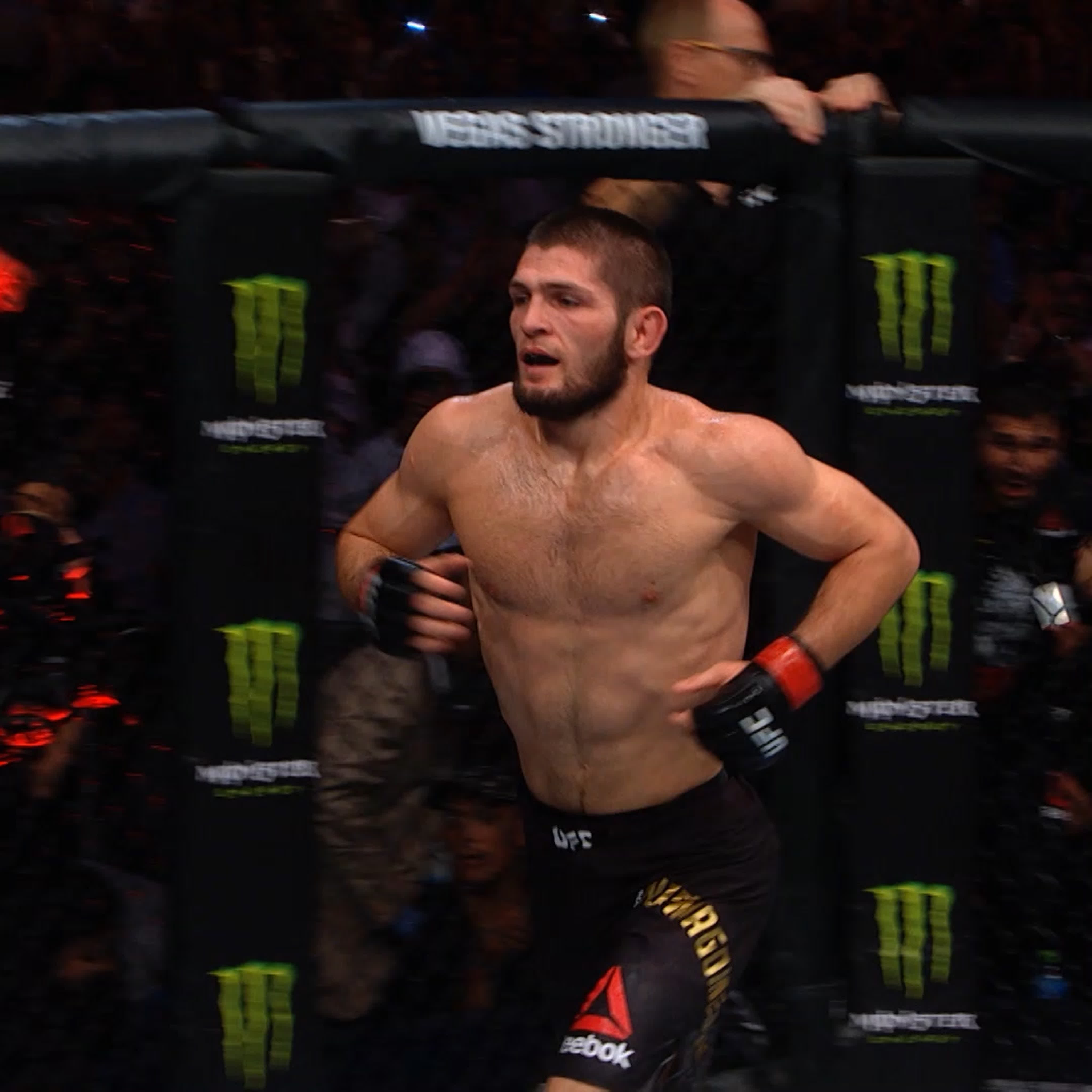 UFC 242: Хабиб vs Порье